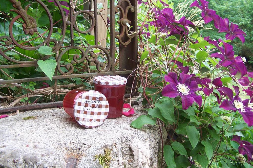 Domaine De Salomony Villa Marcols-les-Eaux Buitenkant foto
